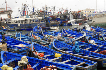 Kleine blaue Fischerboote und Fischkutter im Fischerhafen von Essaouira, Atlantikküste, Marokko, Nordafrika, Afrika