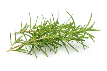 Fresh raw Rosemary isolated on a white background