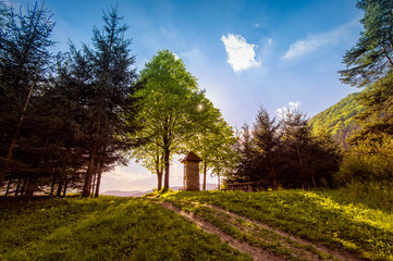 A chapel on the edge of the forest at sunset