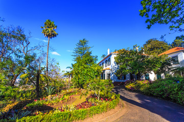 Botanical garden of Madeira island, Portugal