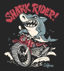 Naklejka premium Shark Rider on motorcycle vector T-Shirt design