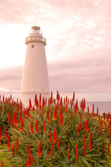 Port Willoughby Lighthouse, Kangaroo Island, SA (Portrait Orientation)