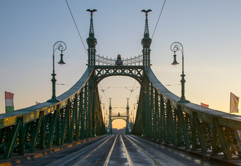 Fototapeta na wymiar Scenic view of Liberty Bridge at Budapest
