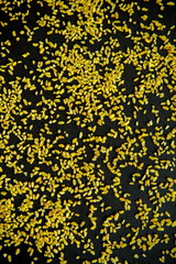 Groats bulgur placer, a pile on a black background is lined in the form of a pattern. The product is rich in protein, healthy food, vegetarianism. View from above