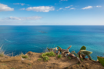 Fototapeta na wymiar Cliff over the Atlantic ocean in Ribeira Brava on the Madeira island, Portugal