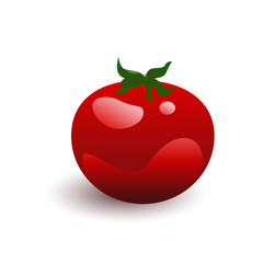 Fresh tomato vector illustration