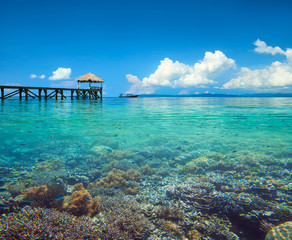 Beautiful coastline landscape with coral reef in Indonesia underwater and over water