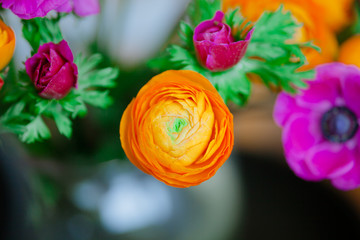 Fototapeta na wymiar Bright bouquet of Ranunculus and decorative poppies