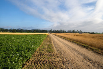 Fototapeta na wymiar Dirt road through rural Hokkaido in late summer