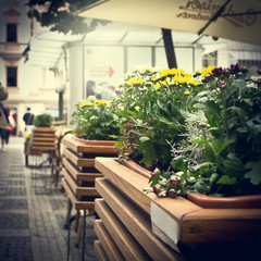 flowers in street vintage background