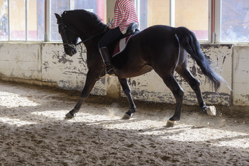 woman is riding a horse on a training ground