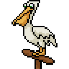 vector pixel art pelican