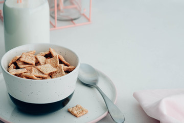 Healthy breakfast, cereal with milk.