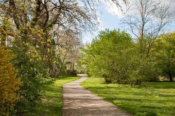 Fototapeta na wymiar Park mit Wanderweg oder Radwegim Frühling bei sonnigem Wetter