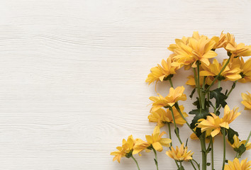 Chrysanthemum flower isolated on white wooden surface background with copy space.