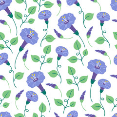 Seamless floral pattern with bindweed on white background