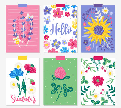 Six summer cards with lavender, viola, sunflower, leaves, branches, poppies