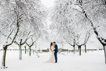 Wedding couple, bride and groom in winter holding hands together