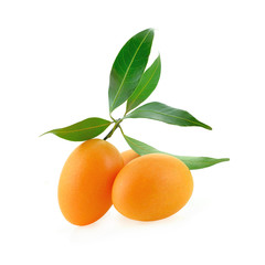 Sweet Marian plum thai fruit isolated on white background