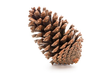 Christmas pine cone on white background.