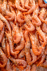shrimps