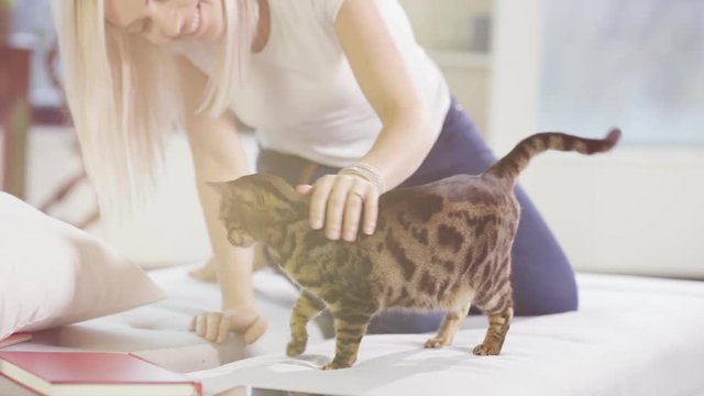 Girl at home playing with cat