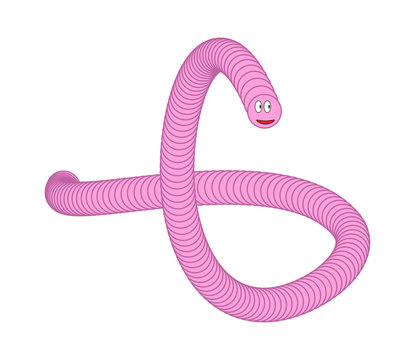 Cartoon  pink worm isolated on white background