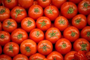 tomatoes