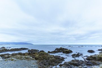 Fototapeta na wymiar Beautiful scenery of Taputeranga Marine Reserve is located on Wellington 's South coast covering Island Bay , Owhiro Bay and Houghton Bay , Wellington , North Island of New Zealand