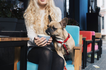 French bulldog relaxing in a cafe on blonde stylish woman's lap