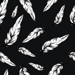 seamless feather pattern, vector
