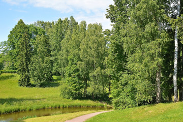 Fototapeta na wymiar River in the Park in Pavlovsk
