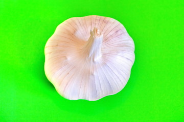 Whole clove of garlic on bright green background. Top view