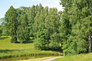 Fototapeta na wymiar River in the Park in Pavlovsk
