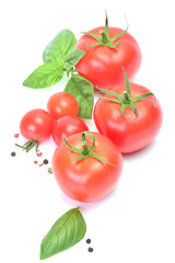 Tomato and basil