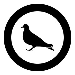 Dove icon black color in circle