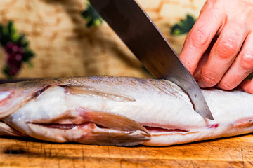 Cutting zander on wooden board close