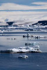 Paulet Island Antarctica, seascape with glacier and icebergs