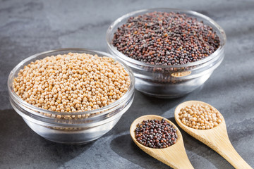 Yellow and black mustard grains