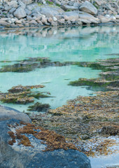 Blue water, algae and stony shore