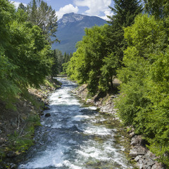 Stream flowing through forest, Nelson, British Columbia, Canada