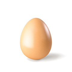 Chicken hen egg isolated