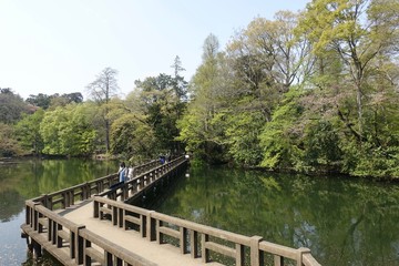 井之頭公園