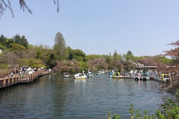 井之頭公園