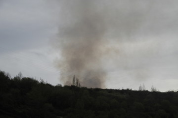 Humo