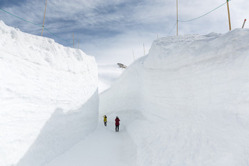 Snow wall at the Tateyama Kurobe Alpine Route - 199298585