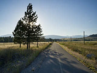 Road passing through field, British Columbia, Canada