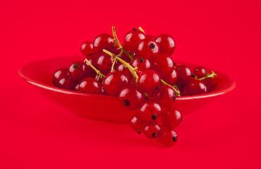 red currant on a red background