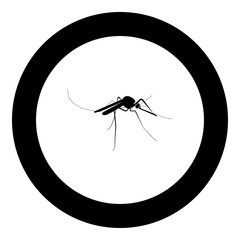 Mosquito icon black color in circle