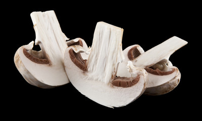 mushrooms champignons on a black background